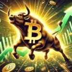 Bitcoin Bull Run 2025